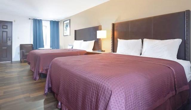 4 Modern Rooms | Comfortable Stop for Every Traveler