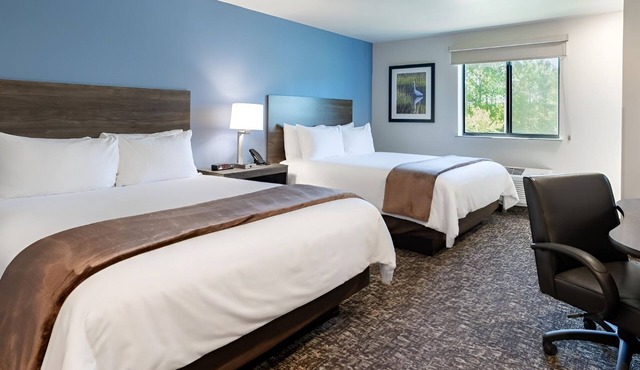 4 Modern Rooms w/Full Kitchen & Outdoor Grill Perfect for Short or Long Stays