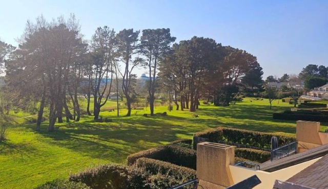 4-person apartment overlooking wooded park