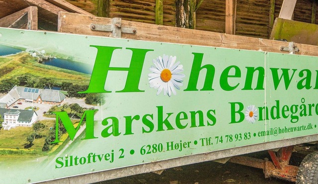 4 person holiday home in Højer