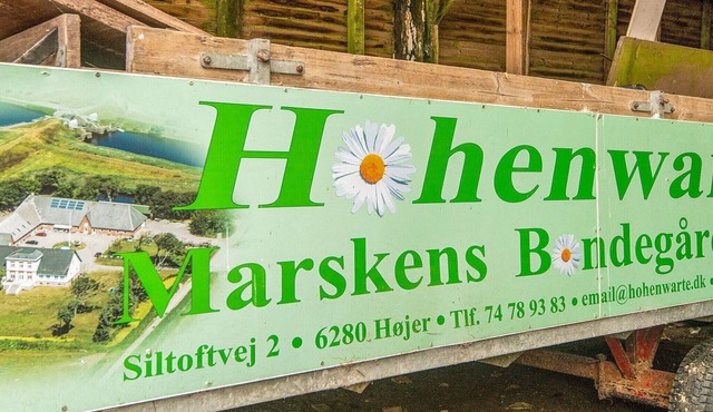 4 person holiday home in Højer