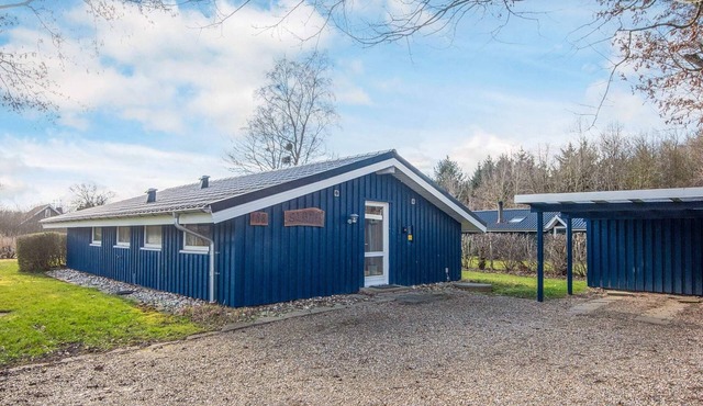 4 person holiday home in Hemmet