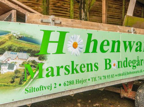 4 person holiday home in Højer
