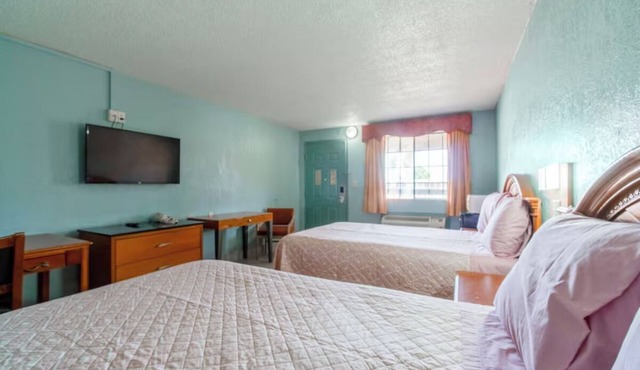 4 Pet-Friendly Rooms Near Harlingen Local Dining Spots- Affordable Stay!