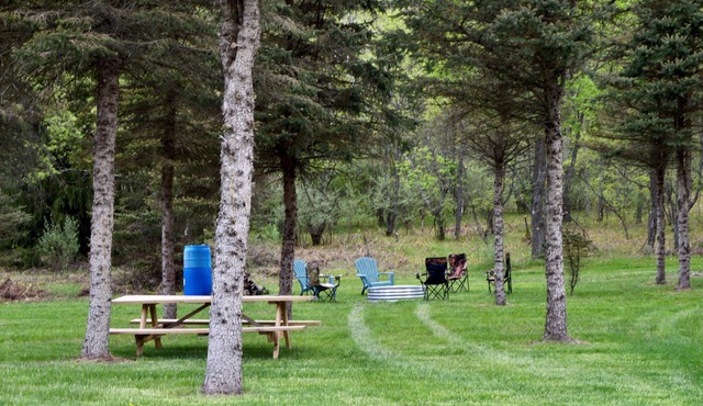 4 Private RV Campsites surrounded by "Knotty Pines", Minutes from ORV Trails.