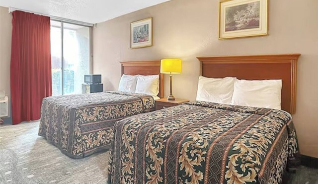 4 Relaxing Rooms Near Elvis Presley's Graceland - Your Peaceful Retreat