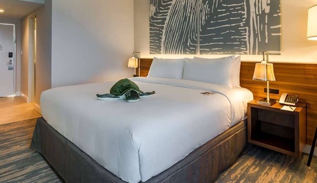 4 Resort Rooms with Pool Near Wreck Bar Show & Beach