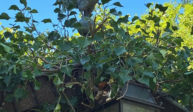 4 rooms in a renovated eco house in a quiet natural setting