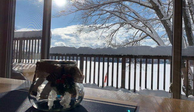 4 Season Cottage on pristine Whitestone lake!