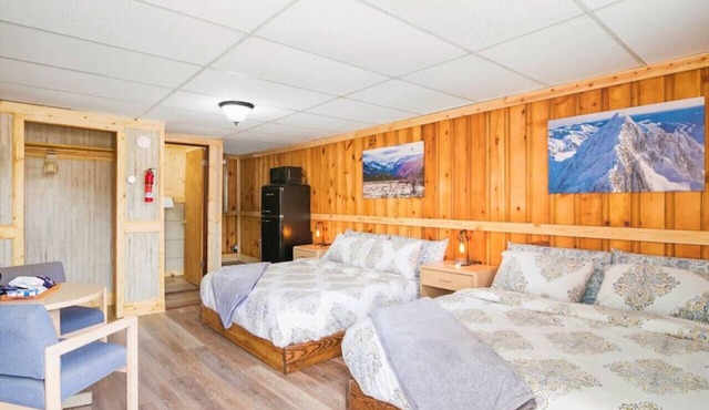 #4 Spacious Dog Friendly Cozy Motel Room Leadville