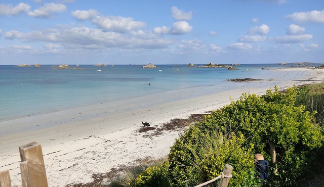 4 star architect villa with Pool, direct access to the beach