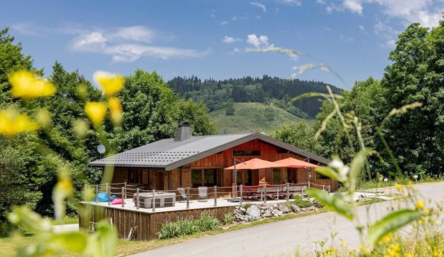 4-star chalet between lake and mountain, jacuzzi, sauna, opposite the slopes.