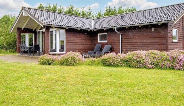 4 star holiday home in Ansager