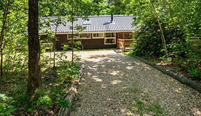 4 star holiday home in Ansager