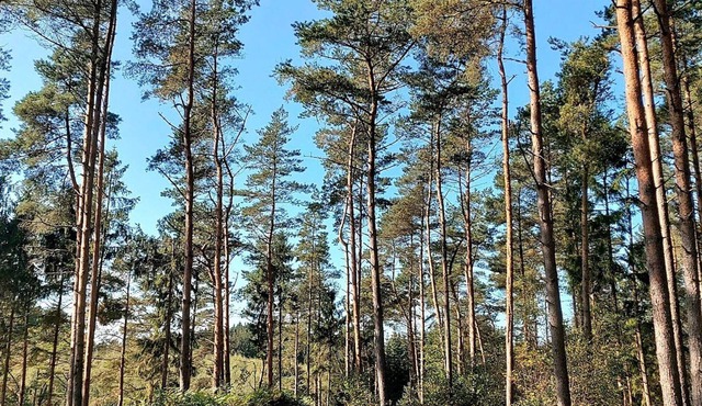 4 star holiday home in Gjern