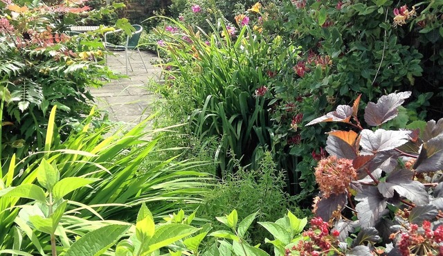 4 star tourist board rated. Truly rural, on a farm. Pet friendly. Peaceful area.