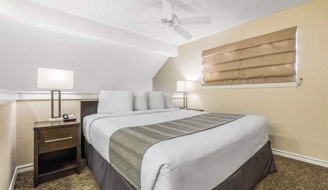 4 Stylish Units! Outdoor Pool, Pets Are Welcome, Free Parking and Breakfast!