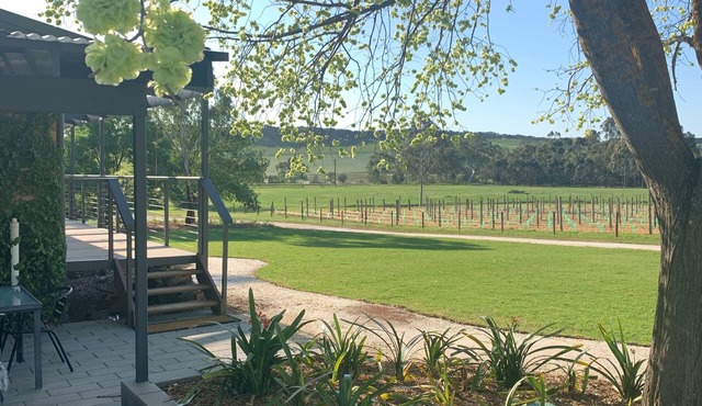 40 Acre Retreat -rural seclusion, central location