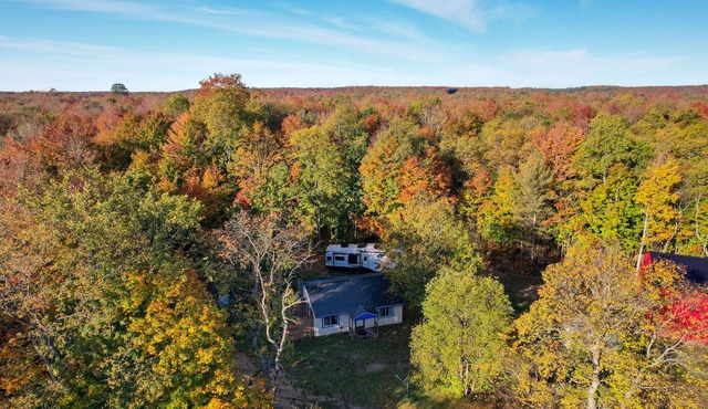 400-Acre Outdoor Enthusiast's Lodge in Mancelona!