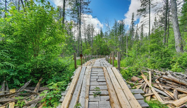 400-acre Outdoor Enthusiast's Lodge in Mancelona!