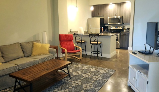 402 Heart of the Arts in Downtown RVA near MCV VCU Convention Center