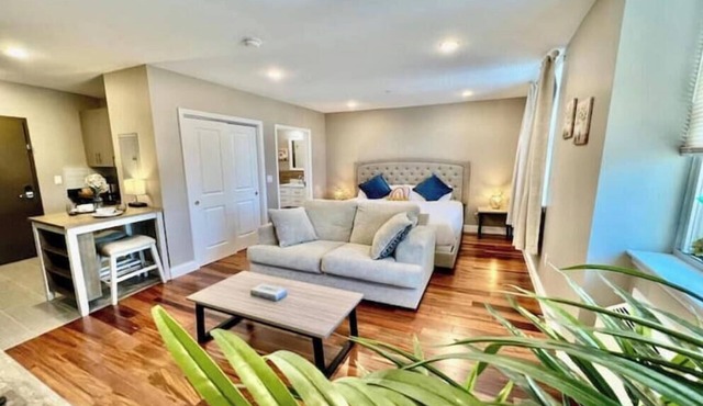 403 Luxury and Comfy King bed in Central city of phillynn