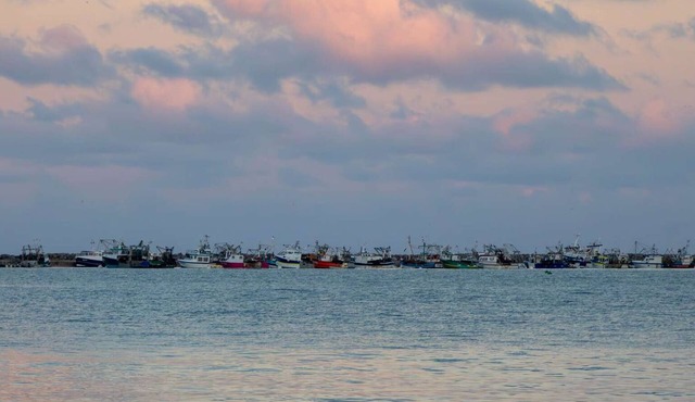 442-Beautiful apartment opposite CAROUAL beach