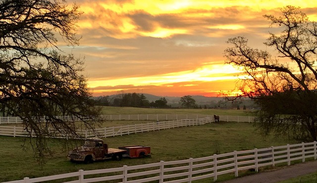 46W/Winery close, Bocce! Perfect for 1 couple, multi-adult, family! Dog Friendly