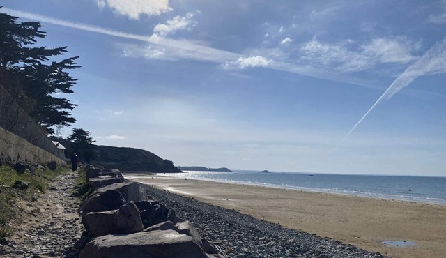 470-Beautiful two-room apartment facing the beach