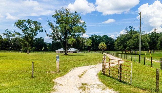 ✨ 4bed 2.5bath Pool Home. 5 mins from WEC! Sleeps 8-10 Guests. Pet Friendly