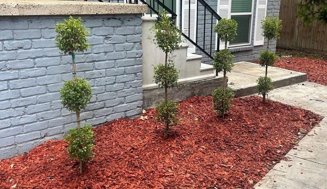 4bedroom house with upstairs outdoor patio,WiFi and in peaceful Woodlands area.