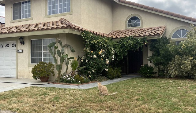 4Br, 2100 sqft Beautiful Bungalow in San Jacinto, California. Near MSJC.