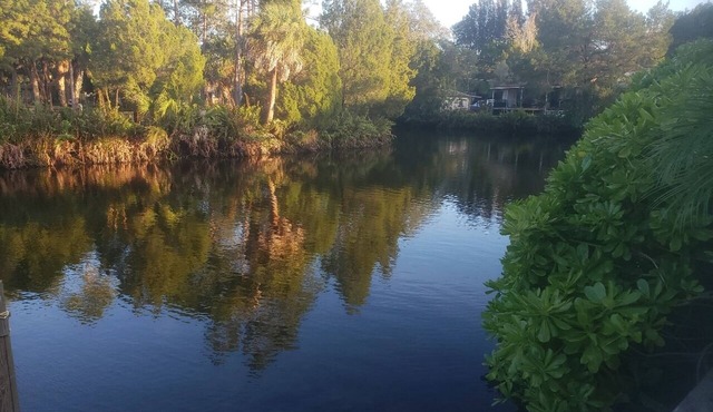 4BR Home with Private Dock on Warm Spring Fed Canal with Gulf Access