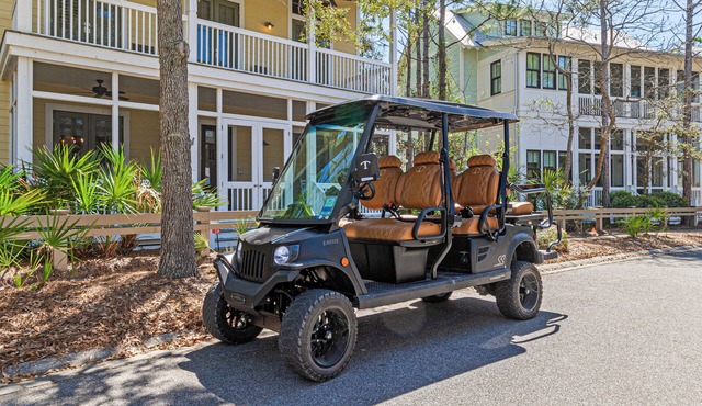 4BR Watercolor Beach House on 30a! 6-Seat LSV, Near Pool. Short Ride to Beach