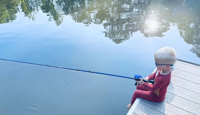 5 Acre Lakefront Oconee Log Home! Dock, Fire Pit. Fish, Boat, Marina, Stables