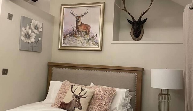 5 Bed House - Sleeps 12 - Pets - Parking