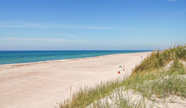5 bedroom accommodation in Hvide Sande