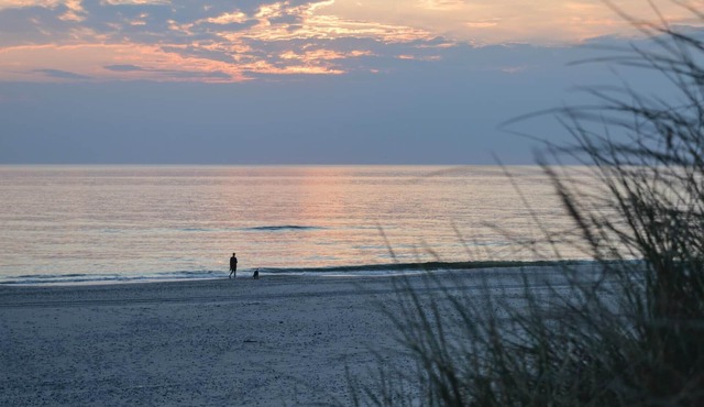 5 bedroom accommodation in Ulfborg