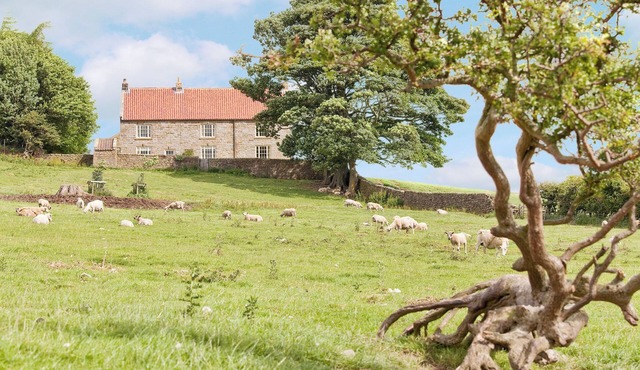 5 bedroom accommodation in Kildale, near Whitby