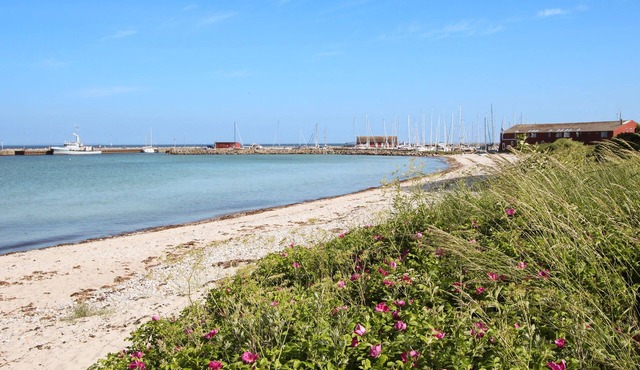 5 bedroom accommodation in Samsø