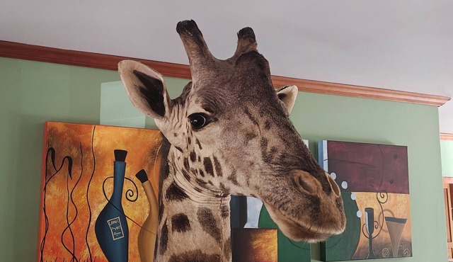 5 Bedroom house in Toftrees in private setting on golf course