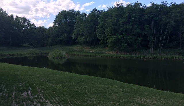 5 Bedroom Lodge in Illinois