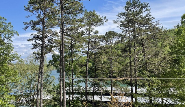 5 Bedroom Norris Lake Home with Covered Boat Slip at Sugar Hollow Marina