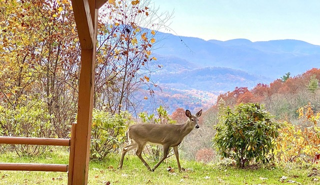 5 BR Private Estate on 12 acres! Stunning Views! 15 min. to downtown!
