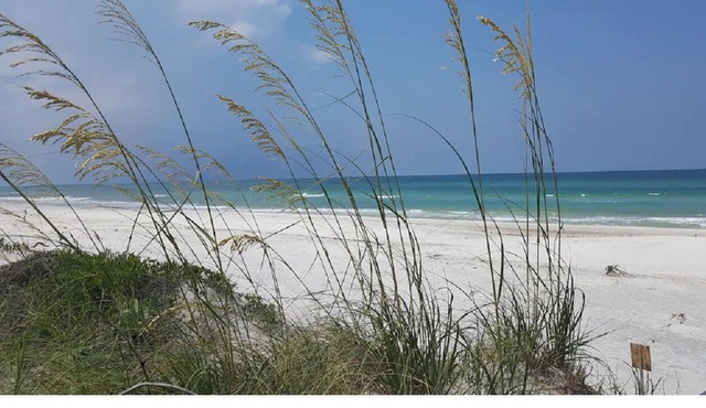 5 miles from the beautiful GULF OF MEXICO! Secluded, private, family campsite!