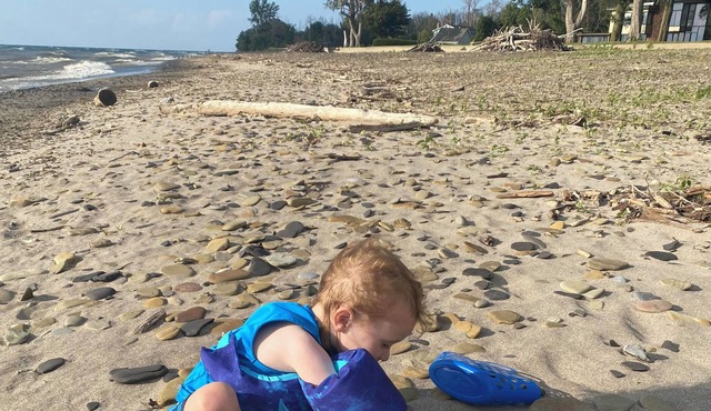 .5 Miles To Public Sanded Beach - it's "5 O'Clock Somewhere" on Lake Erie