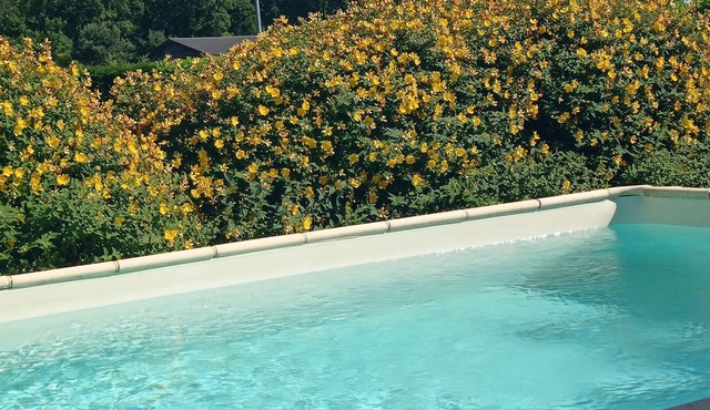 5 min from Sarlat Gîte l'olivier with jacuzzi, ideal for 2/4 people