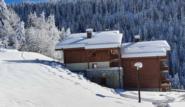 5 min. walk to Les Saisies cable car, apartment. Cosy one-bedroom apartment at the Cernix
