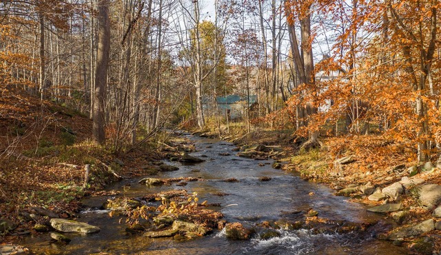 5 mins to Belleayre Ski! Relax in Hot tub and turn on massage jets! Pets free!