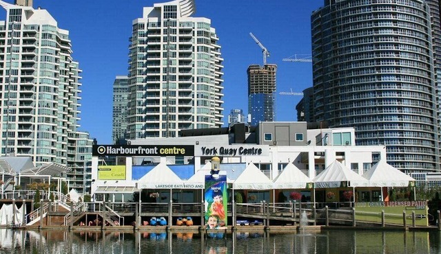 5 mins walk to trinity bellwood park! 3 bedrooms Downtown Toronto